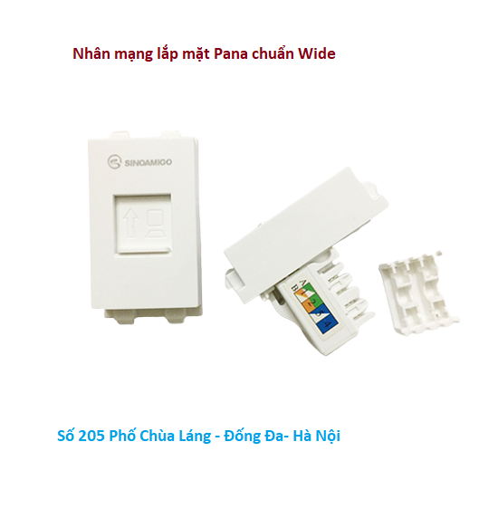 Nhân ổ cắm mạng cat6 sinoamigo chuẩn Wide